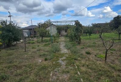 Casă individuală cu 4 camere cu Canalizare în Vadu - 7