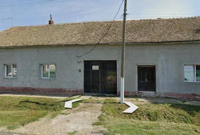 Casă cu 8 camere cu Teren 1250 Mp în Cenad - 8