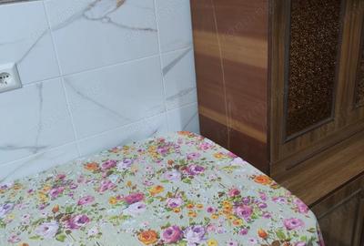 Garsonieră în Ozana - 1