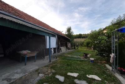 Vand casa la Dumbrava unirea Alba - 4