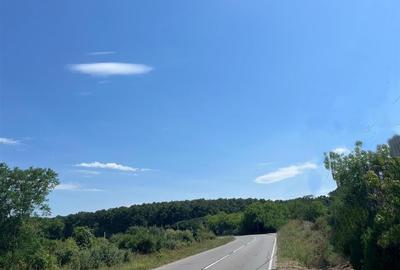 RECO Teren intravilan 3,9 ha -Les - 3