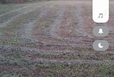 Spațiu comercial, în Cărpiniș - 26