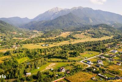 Spațiu comercial, în Cheile Râșnoavei - 7