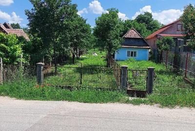 Casă cu Teren 1400 Mp în Moldovenești