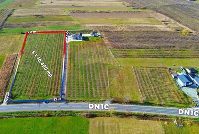 Teren intravilan de 10400 mp, în Sud-Est - 4