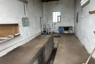 Teren 2100mp si hale de inchiriat zona Iosia - 6