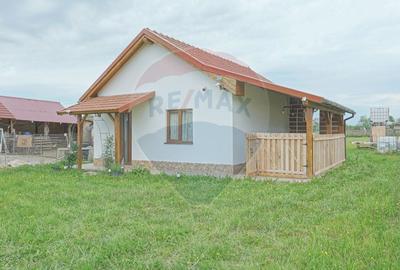 Teren Construcții intravilan de 2551 mp, în Acriș - 6