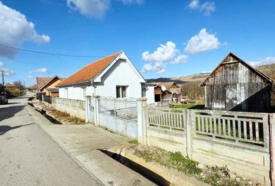 Casă cu 3 camere în Roșia de Secaș - 8