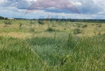 DE VANZARE Teren intravilan 600mp Drumul Piscul Mosului SISESTI - 23