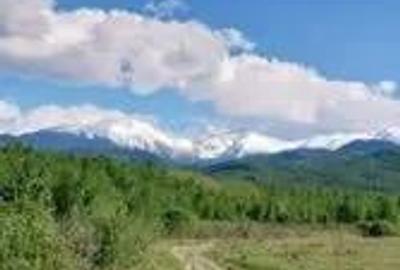 Teren de 2500 mp, în Porumbacu de Sus - 3