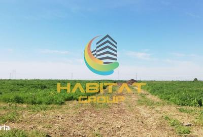 Spațiu comercial, în Frumușani - 3