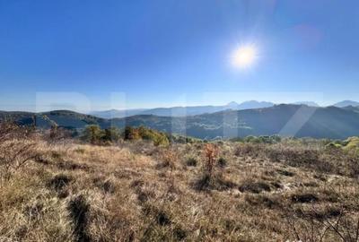 Teren de 4000 mp, în Râmeț - 2