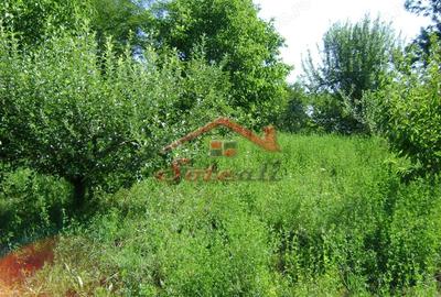 Teren de 2276 mp, în Vest - 6