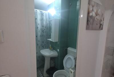 Apartament cu 2 camere decomandat, mobilat în P-ța Gorjului - 7