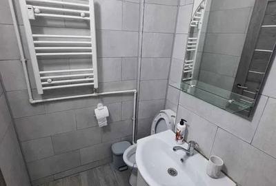Garsonieră în Craiovița Nouă - 5