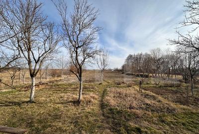 Casa de vanzare, cu 2 camere, 65 mp, Oradea - 2