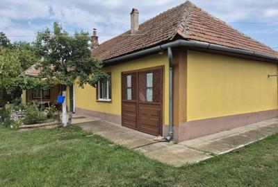 Casa de vanzare - Crai Nou, jud Timis - SAU schimb cu apartament 2 camere in Tim - 7