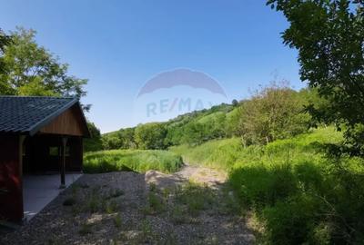 Teren de 5144 mp, în Sighișoara - 3