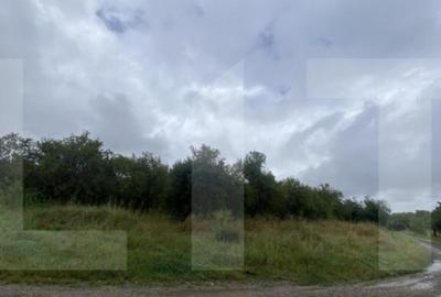 Teren cu poten?ial reziden?ial Simeria, Sfantu Gheorg - 3