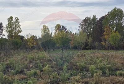 Teren generos cu potential in comuna Silindia, judetul Arad - 7