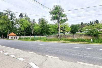 Teren de 5000 mp, în Vlădesti