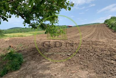 Teren intravilan | 5100 mp | zona Gusterita - 2