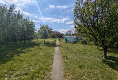 Casă individuală cu 4 camere cu Teren 2878 Mp în Mailat - 8