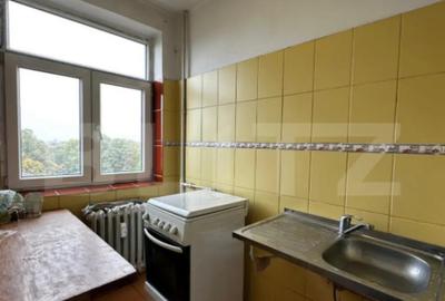 Garsonieră semidecomandată în Brazda lui Novac - 3