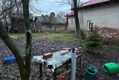 Casă cu 3 camere în Zlata - 8