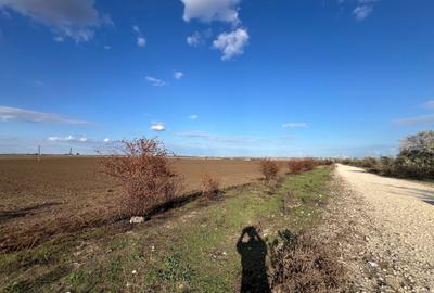 COMISION 0% - Teren Extravilan 10.000mp - Cumpana COMISION 0% - Teren Extravilan 10.000mp - Cumpana - 4