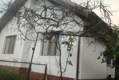 Casă cu 3 camere cu Teren 7700 Mp în Nojag - 9