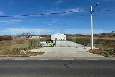 Spațiu industrial, de 194 mp, în Exterior Vest - 10