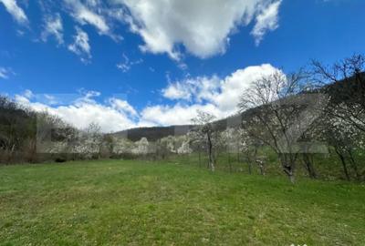 Teren în Central - 1