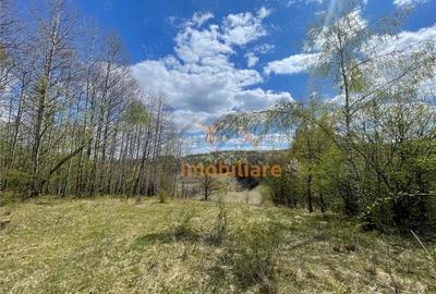Teren de 103000 mp, în Bălnaca - 2