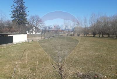 Teren Construcții intravilan de 1486 mp, în Sud - 7