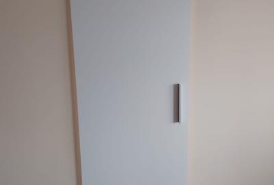 Dambu Pietros, Targu Mures - 7