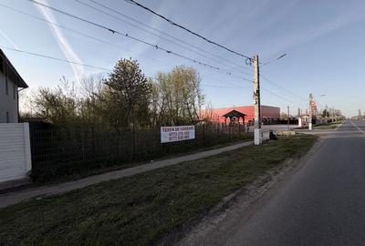 Spațiu comercial, în Movilița - 1