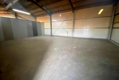 Spațiu industrial, de 132 mp, în Săcălaz - 2