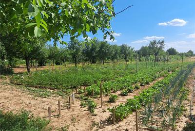 RECO Casa in Sanlazar - 16