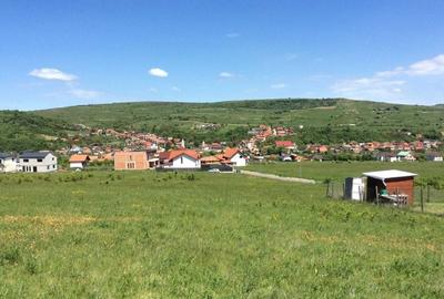 Teren Construcții intravilan de 9978 mp, în Chinteni