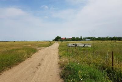 3000 m2 plasat exceptional, vest de Voluntari 3000 m2 plasat exceptional, vest de Voluntari - 11