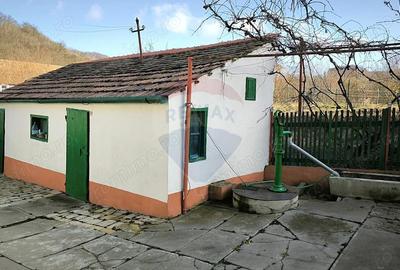 Casă cu 4 camere cu Teren 1084 Mp în Vale - 9