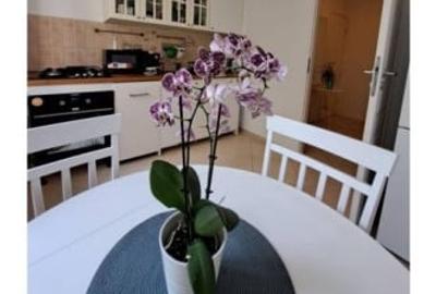 Vanzare apartament 2 camere  Turda - Ion Mihalache - 4
