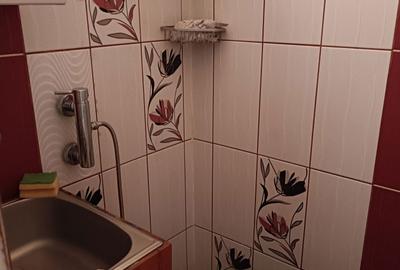 Garsonieră decomandată în Dumbrăvița - 6