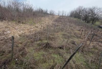 Teren în Central - 3