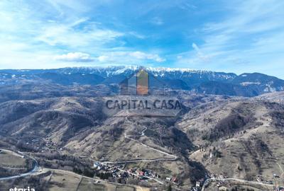 Spațiu comercial, în Moieciu - 3