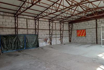 Spațiu comercial, de 192 mp, în Nufărul - 2