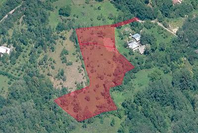 Teren de 6376 mp, în Valea Târsei - 2