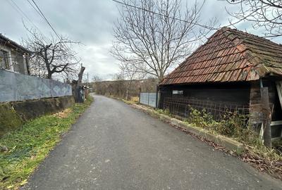 Vand teren 2400mp si casa batraneasca langa Cluj - 2
