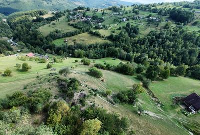 Teren de 10000 mp, în Răchițele - 1